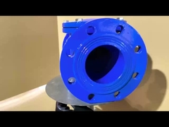 OEM rubberen stoel gietijzeren controle klep met tegengewicht corrosiebestendig