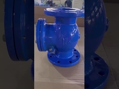 Voor de toepassing van deze richtlijn geldt dat de in bijlage I vermelde voorschriften worden nageleefd.