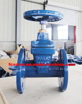 PN10/PN16/125lb-150lb Pressure Rating CI Gate Valve with Durable and Class A Seat Leakage
