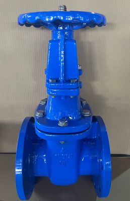 ANSI Flanged Metal Seat Gate Valve DN50-DN300 gietijzer